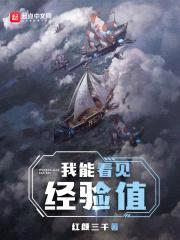 我能看见经验值