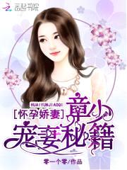 怀孕娇妻:章少宠妻秘籍