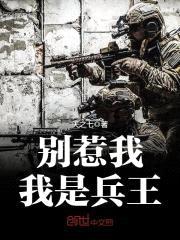 别惹我,我是兵王