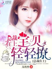 总裁在上:宝贝,轻轻撩