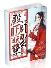 倾世盛宠:殿下,别那么妖孽