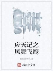 应天记之凤舞飞鹰