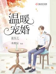 重生之温暖宠婚