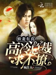 娇妻有喜:高冷总裁,求不撩
