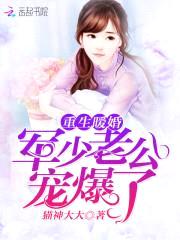 重生暖婚：甜妻宠上瘾