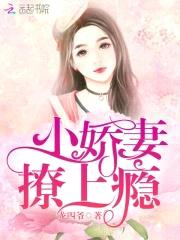 小娇妻，撩上瘾！