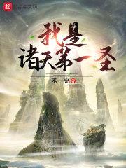 我是诸天第一圣