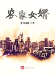 农家女婿