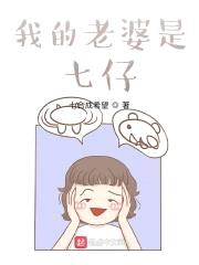 我的老婆是七仔