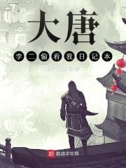 大唐:李二偷看我日记本