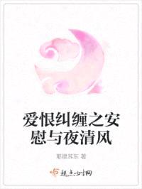 爱恨纠缠之安慰与夜清风