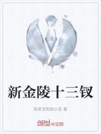 新金陵十三钗