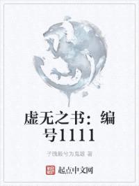 虚无之书:编号1111