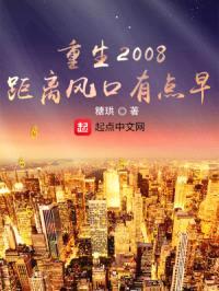 重生2008,距离风口有点早