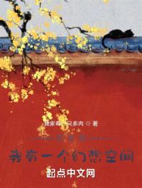 四合院:我有一个幻想空间