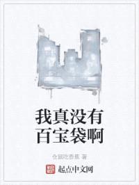 我真没有百宝袋啊