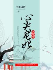 锦绣清宫:四爷的心尖宠妃